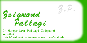 zsigmond pallagi business card